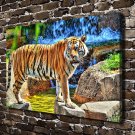 Zoo Tiger Animal Decor  20x16 inch FRAMED CANVAS PRINT
