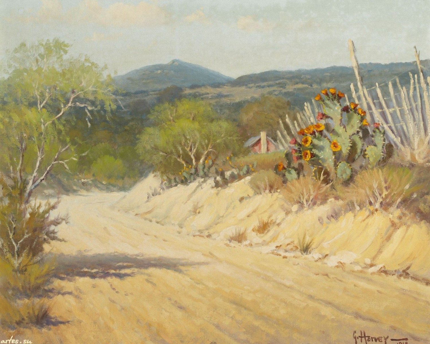 Gerald harvey jones Decor  20x16 inch FRAMED CANVAS PRINT