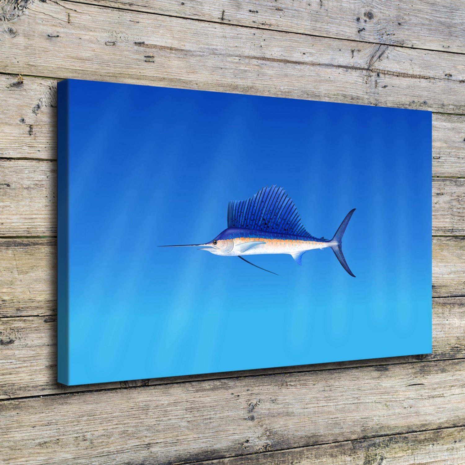 Animals & Fish  20x16 inch FRAMED CANVAS PRINT
