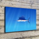 Animals & Fish  20x16 inch FRAMED CANVAS PRINT