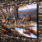 North Ridge Whitetails Deer  20x16 inch FRAMED CANVAS PRINT