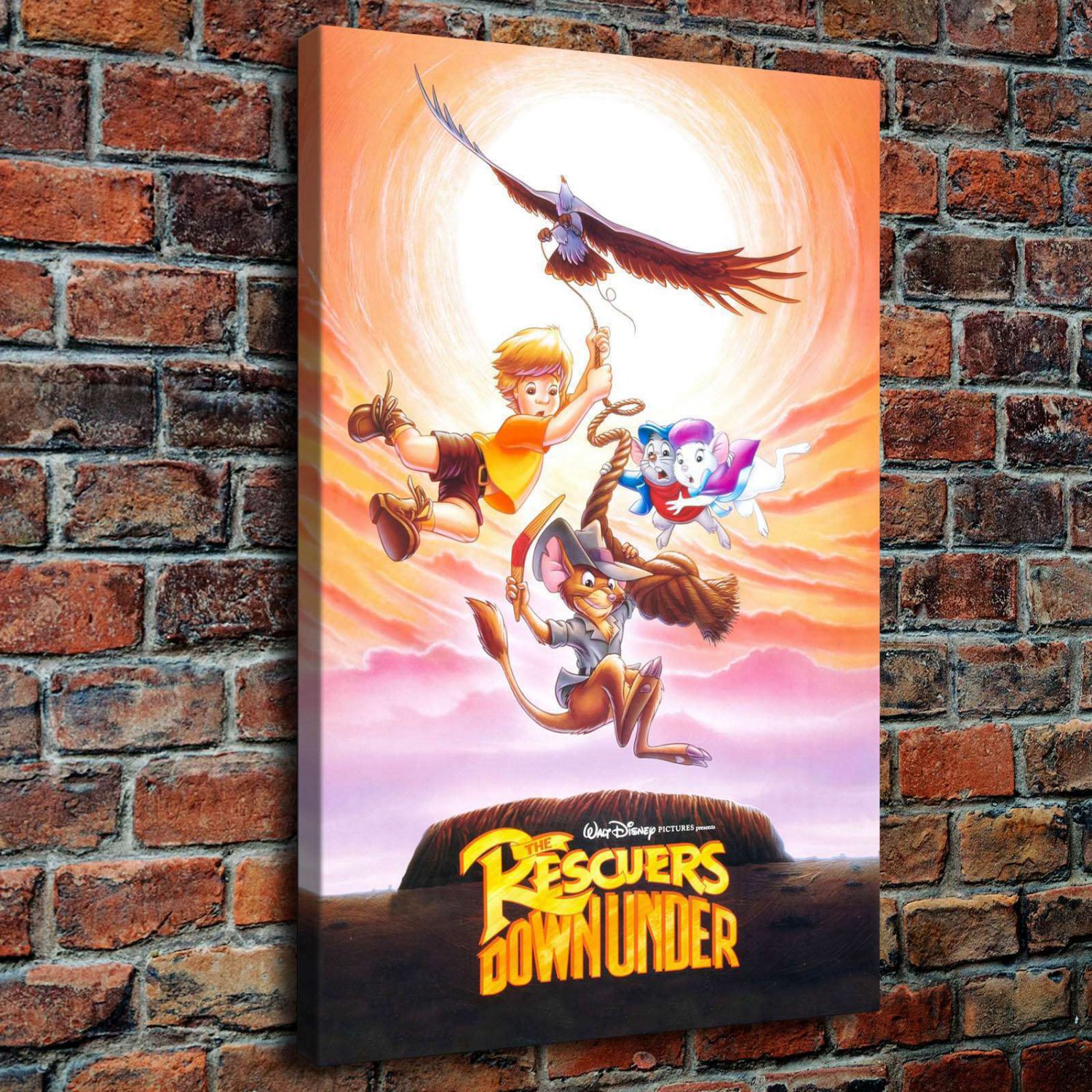 Rescuer Down Under  20x16 inch FRAMED CANVAS PRINT