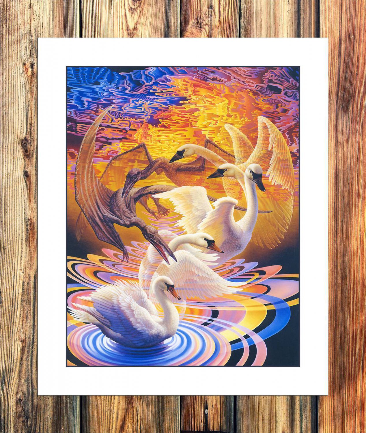 Transcendent Evolution Decor  20x16 inch FRAMED CANVAS PRINT