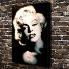 Super wild  20x16 inch FRAMED CANVAS PRINT