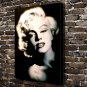 Super wild  20x16 inch FRAMED CANVAS PRINT
