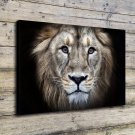 Lions Animal  20x16 inch FRAMED CANVAS PRINT