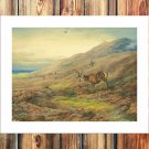 Archibald Thorburn  20x16 inch FRAMED CANVAS PRINT