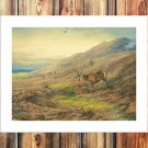Archibald Thorburn  20x16 inch FRAMED CANVAS PRINT