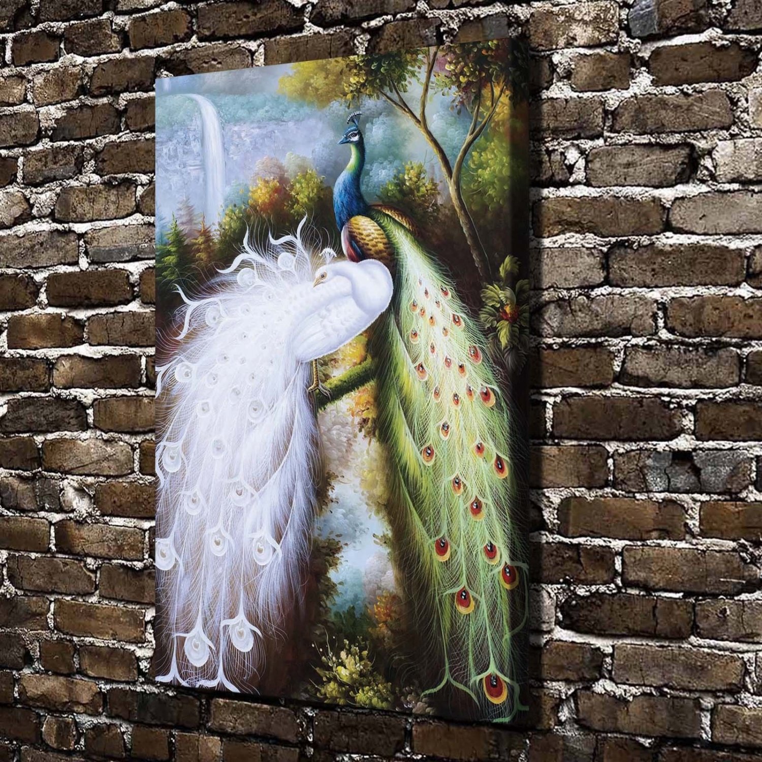 Two beautiful peacocks  20x16 inch FRAMED CANVAS PRINT