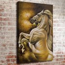 47-Animal Life  20x16 inch FRAMED CANVAS PRINT