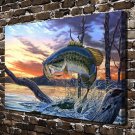 Animal Fish  20x16 inch FRAMED CANVAS PRINT