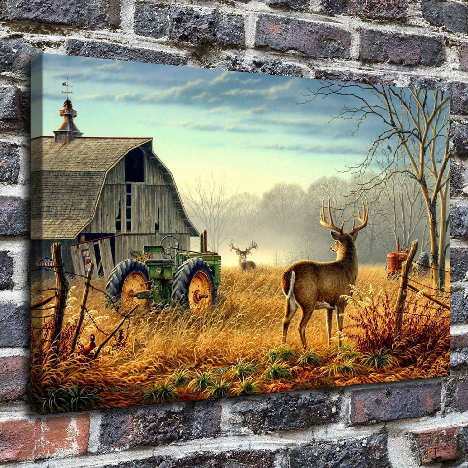 Shabby house  20x16 inch FRAMED CANVAS PRINT