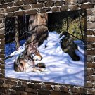 Shadow rest Wolf Animal  20x16 inch FRAMED CANVAS PRINT