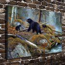 A Hidden World Bear  20x16 inch FRAMED CANVAS PRINT