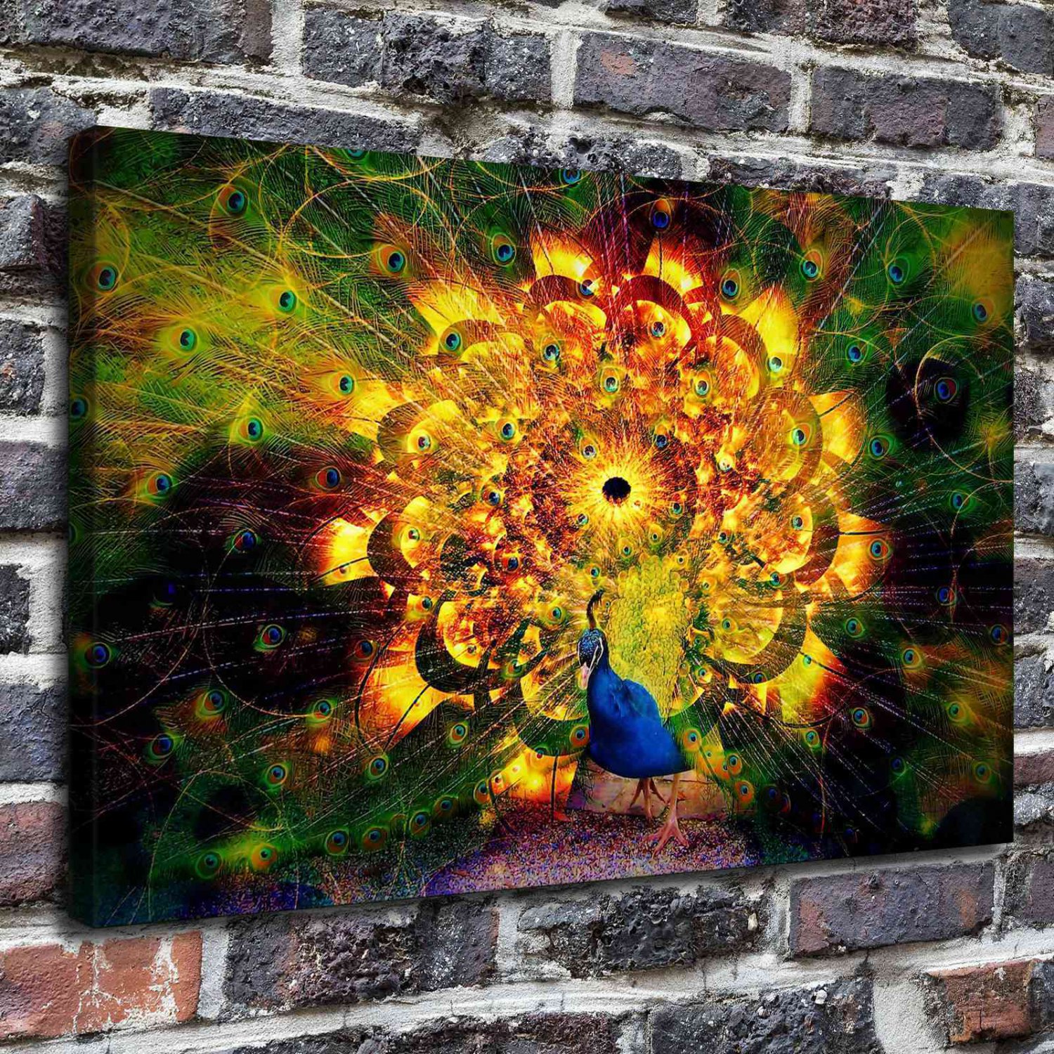 The peacock  20x16 inch FRAMED CANVAS PRINT