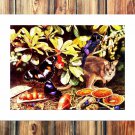 A cute little squirrel  20x16 inch FRAMED CANVAS PRINT