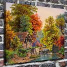 The autumn season  20x16 inch FRAMED CANVAS PRINT