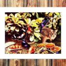 A cute little squirrel  20x16 inch FRAMED CANVAS PRINT