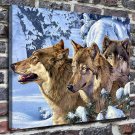 Wolves in winter  20x16 inch FRAMED CANVAS PRINT