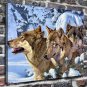Wolves in winter  20x16 inch FRAMED CANVAS PRINT