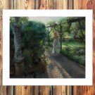 Hazy beauty  20x16 inch FRAMED CANVAS PRINT