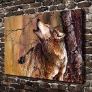 With Nature Wolf Animal  20x16 inch FRAMED CANVAS PRINT