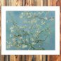 Branches in Bloom  20x16 inch FRAMED CANVAS PRINT