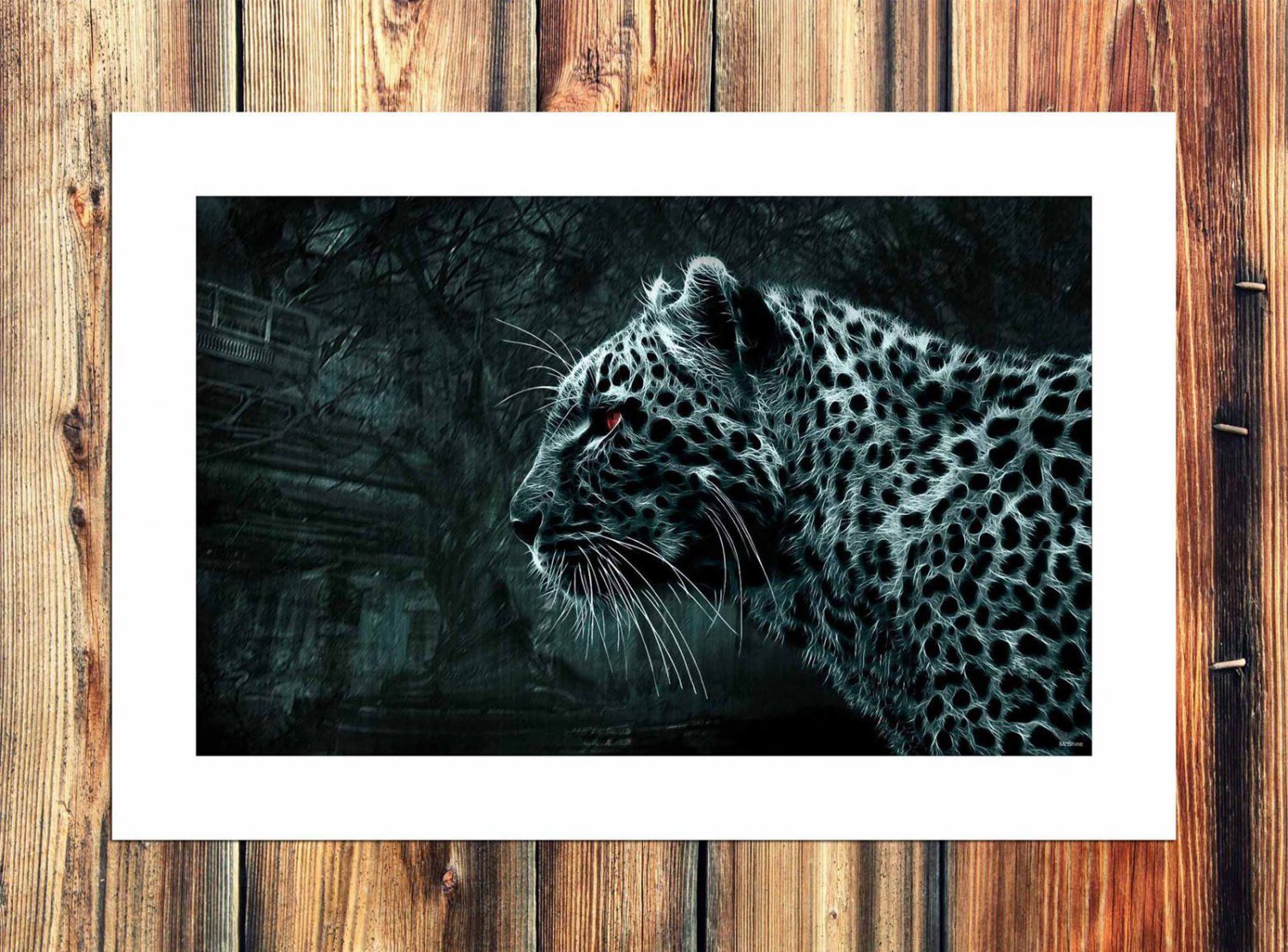 The leopard world  20x16 inch FRAMED CANVAS PRINT
