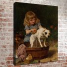 Lovely dog  20x16 inch FRAMED CANVAS PRINT