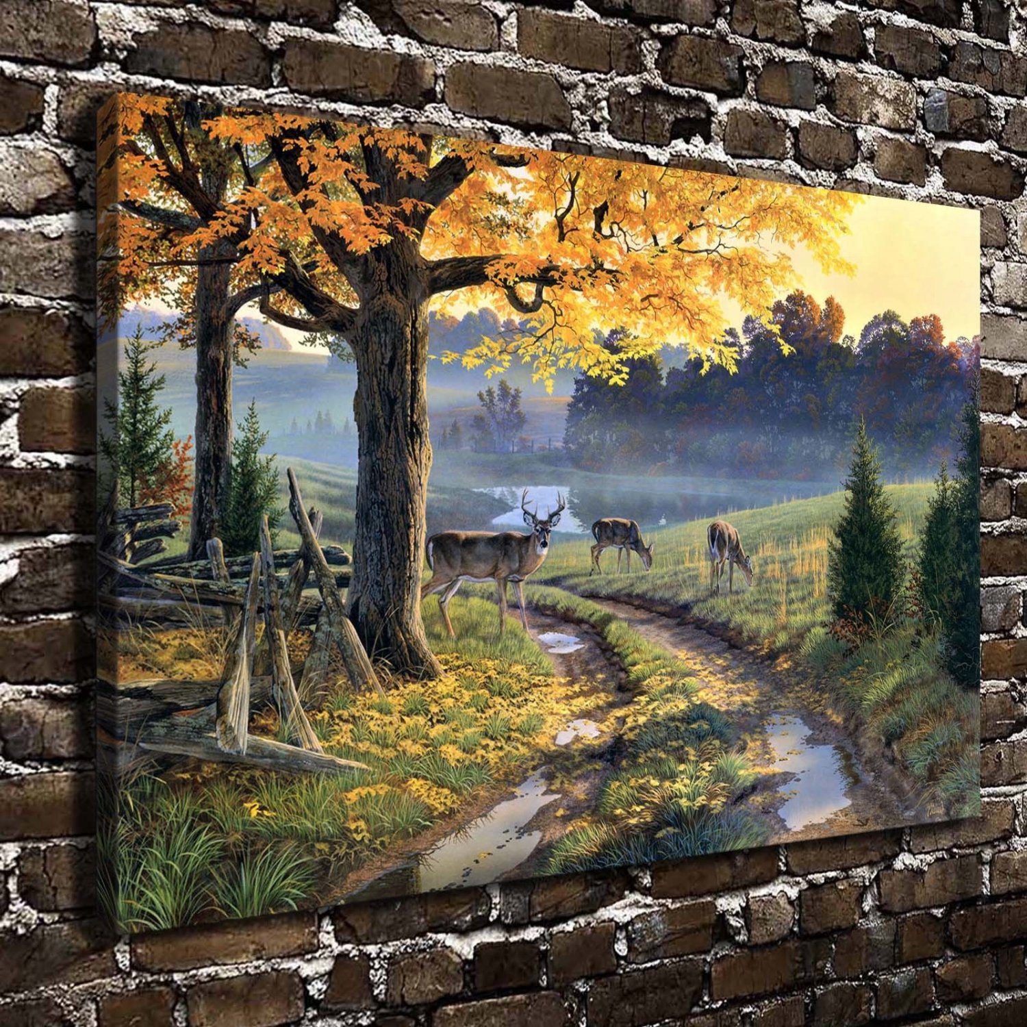 A Bend Road Deer  20x16 inch FRAMED CANVAS PRINT