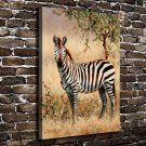 Nature Zebra Animals  20x16 inch FRAMED CANVAS PRINT