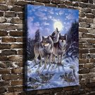 Wolf Animal  20x16 inch FRAMED CANVAS PRINT
