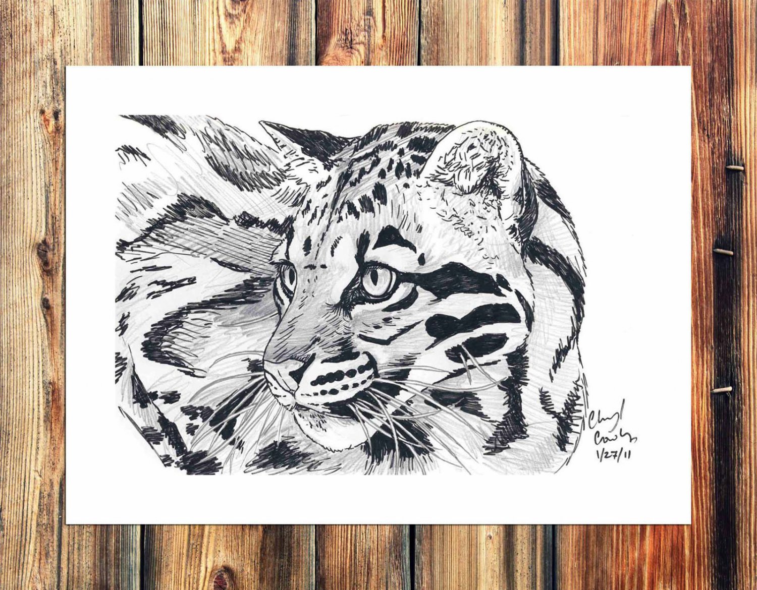 Black and white  20x16 inch FRAMED CANVAS PRINT