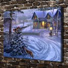 Ice and snow  20x16 inch FRAMED CANVAS PRINT
