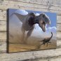 Underwater Mimic  20x16 inch FRAMED CANVAS PRINT