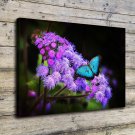Insects Butterflies  20x16 inch FRAMED CANVAS PRINT