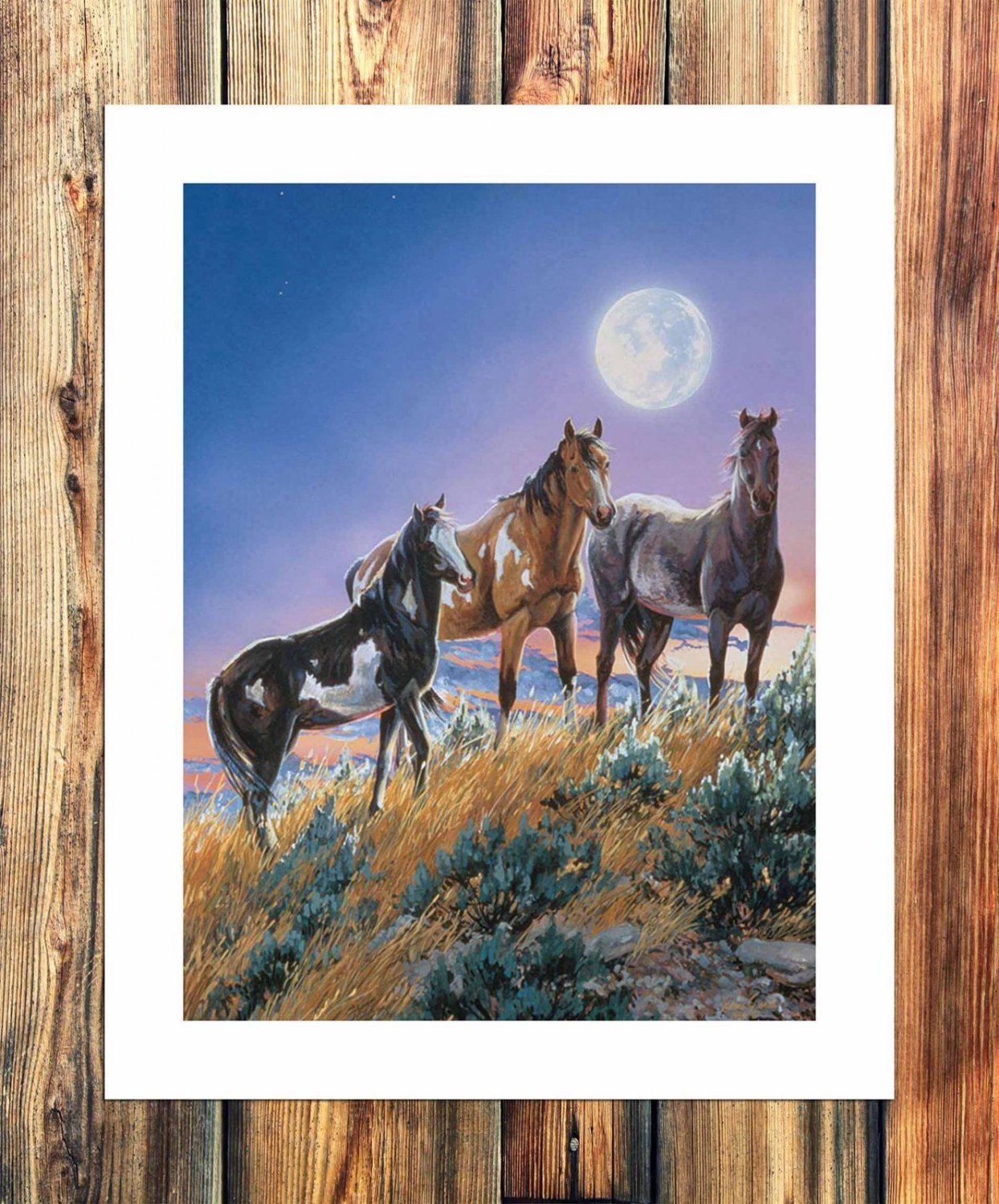 Three good friends  20x16 inch FRAMED CANVAS PRINT