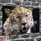 Roaring leopard Painting  20x16 inch FRAMED CANVAS PRINT