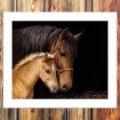 Animals to close  20x16 inch FRAMED CANVAS PRINT