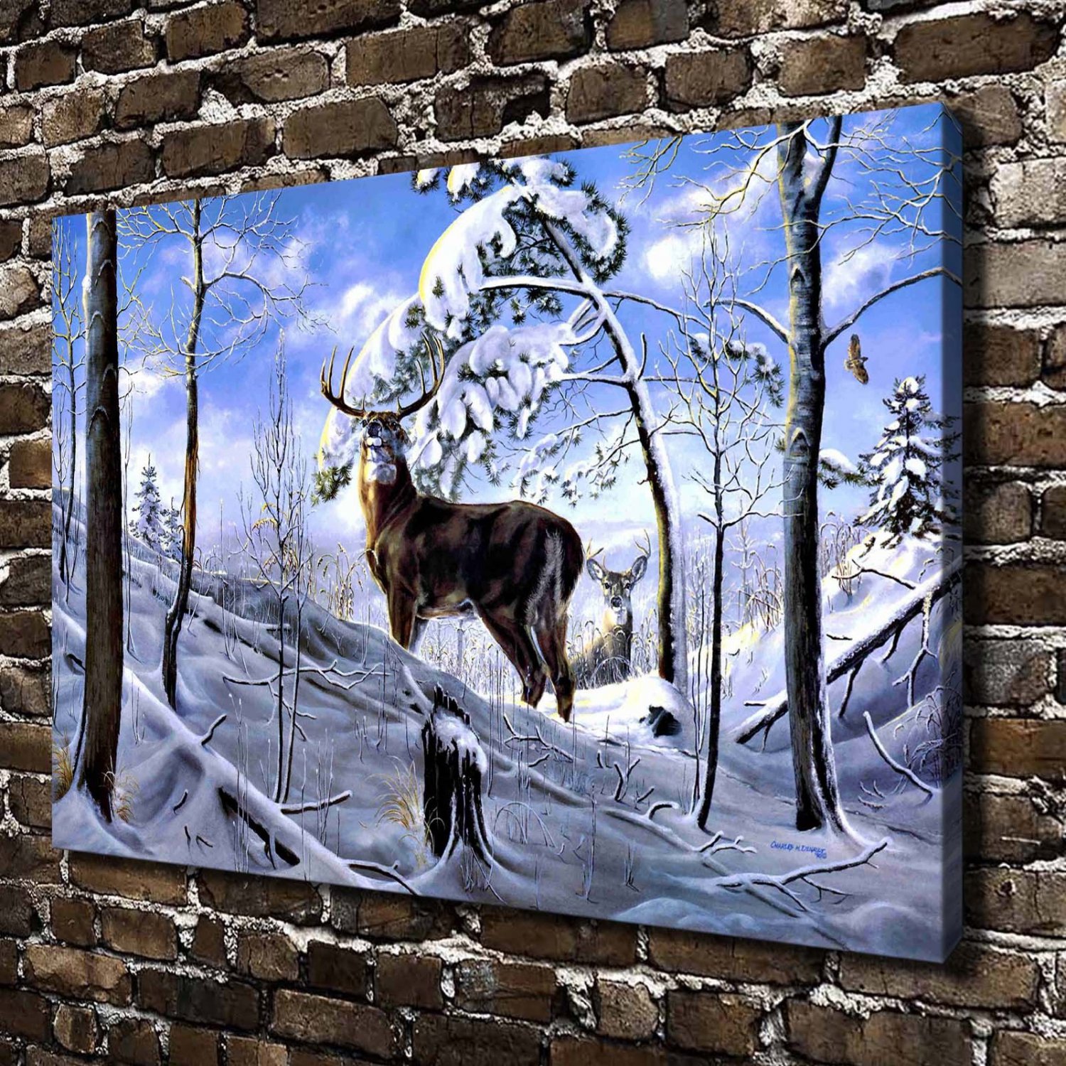Appalachian Deer Animal Decor  20x16 inch FRAMED CANVAS PRINT