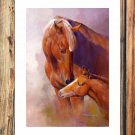 Every love  20x16 inch FRAMED CANVAS PRINT