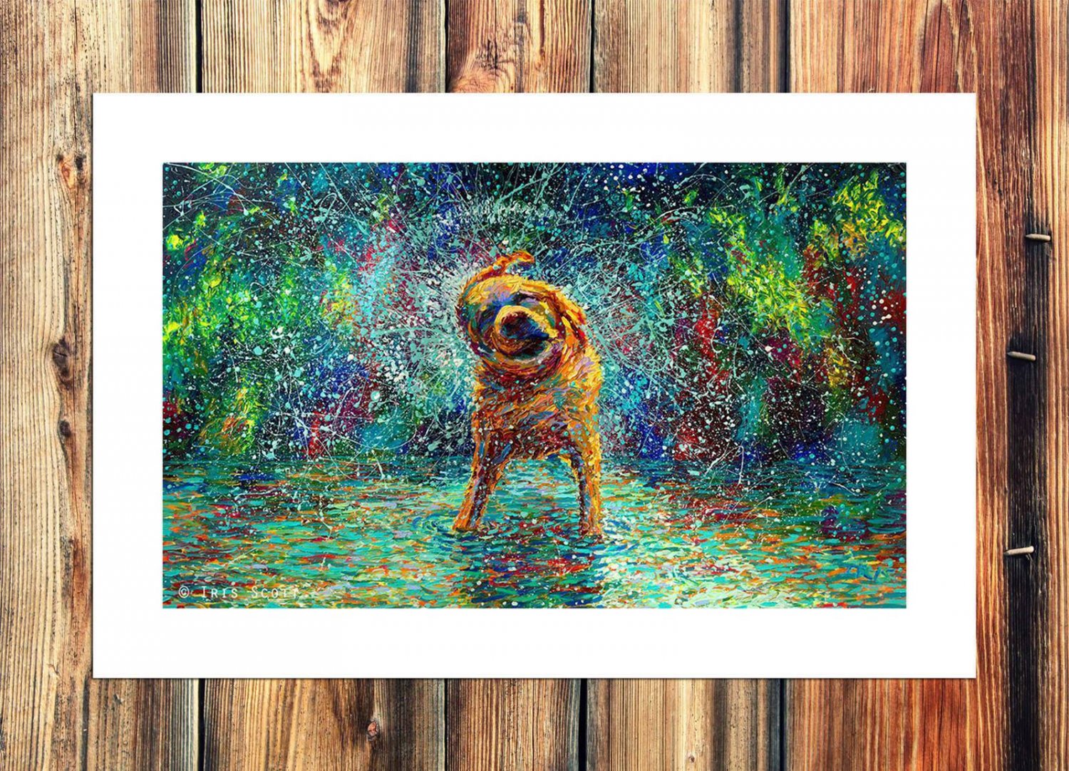 A puppy Decor  20x16 inch FRAMED CANVAS PRINT