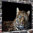 Heather Lara, leopard  20x16 inch FRAMED CANVAS PRINT
