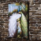 Two beautiful peacocks  20x16 inch FRAMED CANVAS PRINT