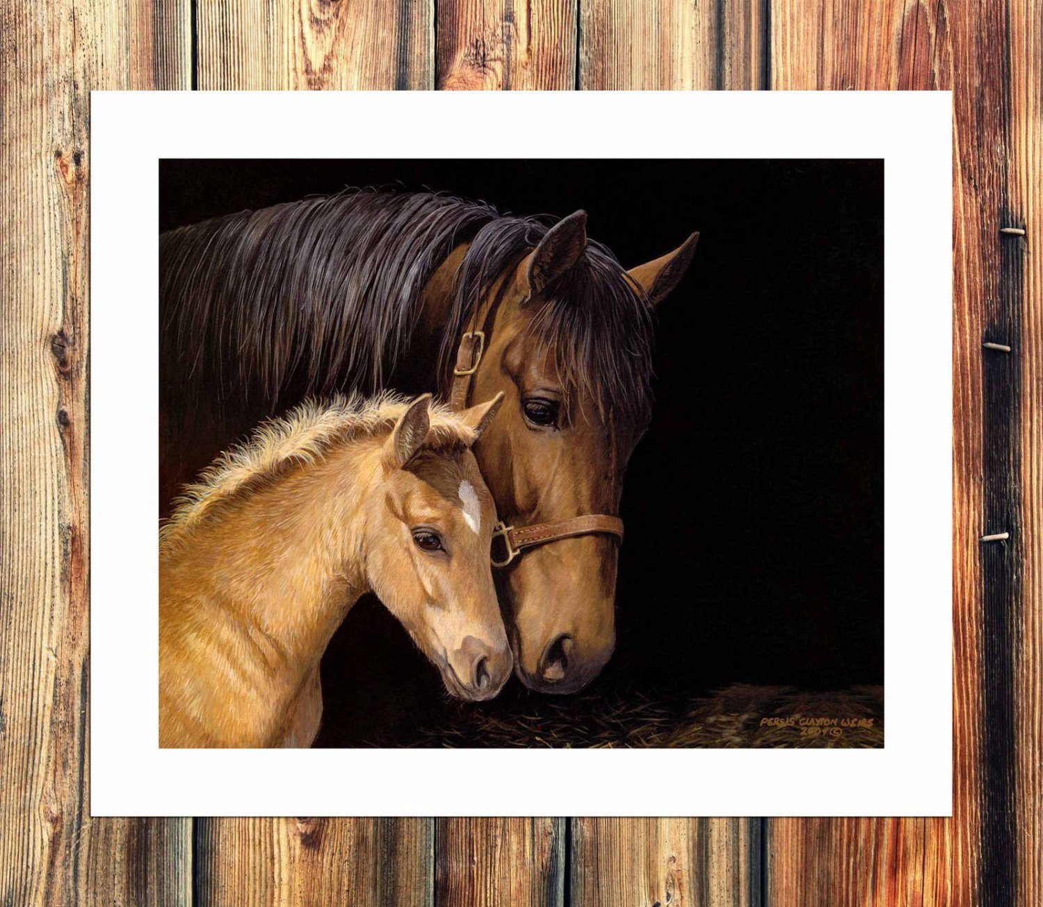 Animals to close  20x16 inch FRAMED CANVAS PRINT