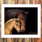Animals to close  20x16 inch FRAMED CANVAS PRINT