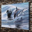 Splendour Dolphins Decor  20x16 inch FRAMED CANVAS PRINT