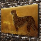 African Savannah Leopard  20x16 inch FRAMED CANVAS PRINT