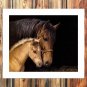 Animals to close  20x16 inch FRAMED CANVAS PRINT