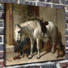 White Stallion Paintings  20x16 inch FRAMED CANVAS PRINT